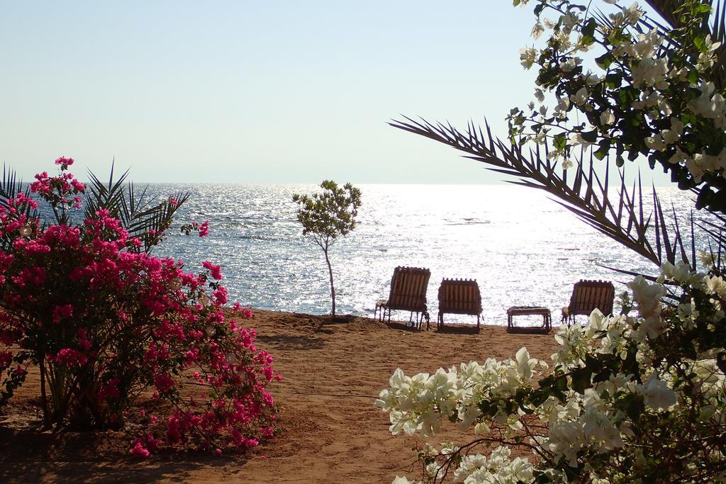 Bedouin Star  Hotel Taba Buitenkant foto