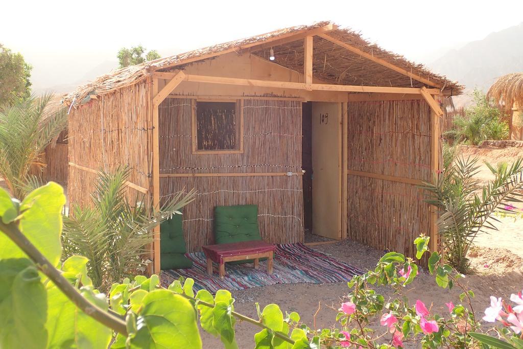 Bedouin Star  Hotel Taba Buitenkant foto