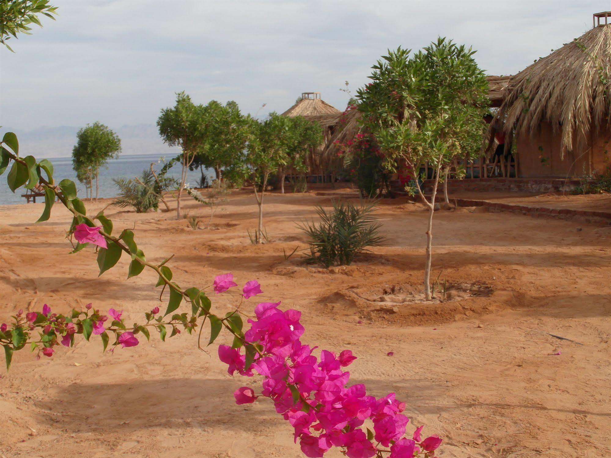 Bedouin Star  Hotel Taba Buitenkant foto